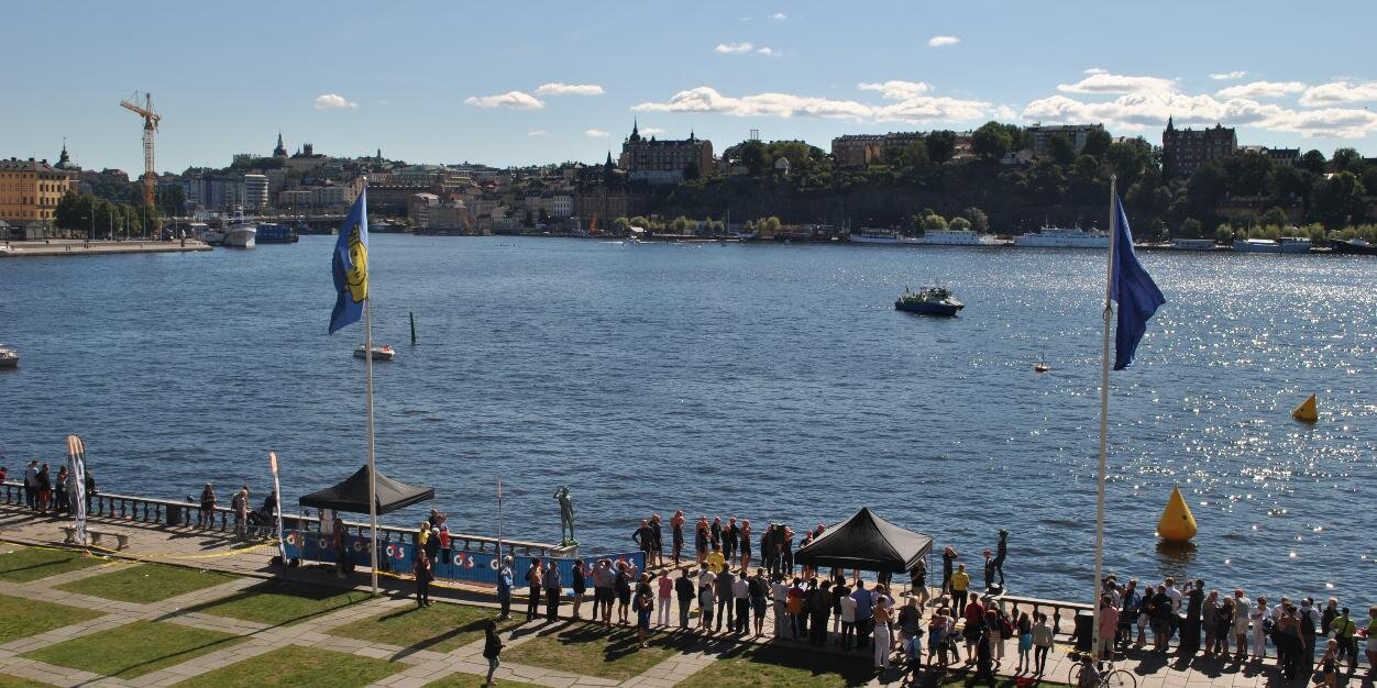 Beatriz Fernandez Fernandez banner