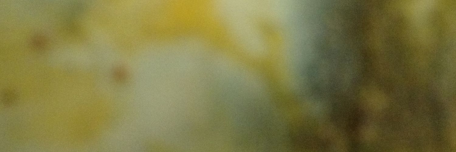 twittfish_c's profile banner image