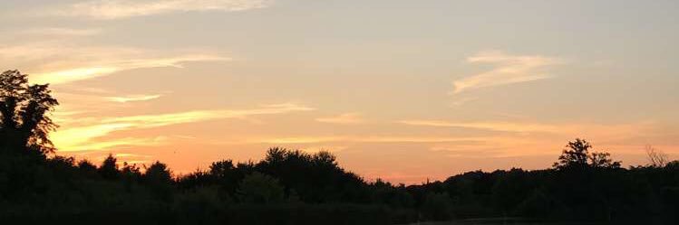 Trevorsweet9's profile banner image