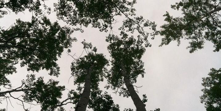 mountainbrewftw's profile banner image