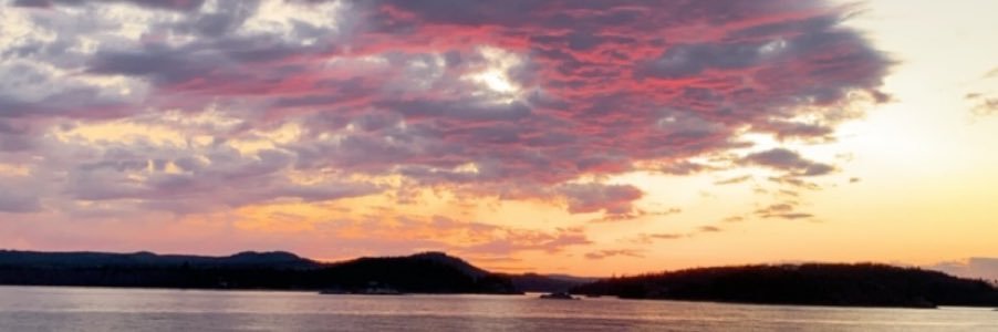 Uncle Gražulis banner