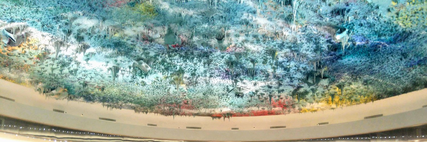 Claire Denman banner