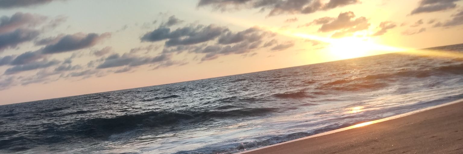 gonlogar's profile banner image