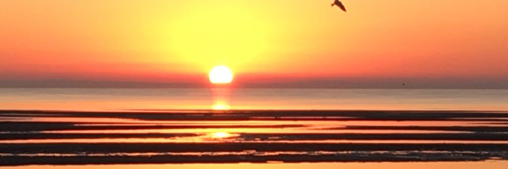 Sandra Leathwick banner