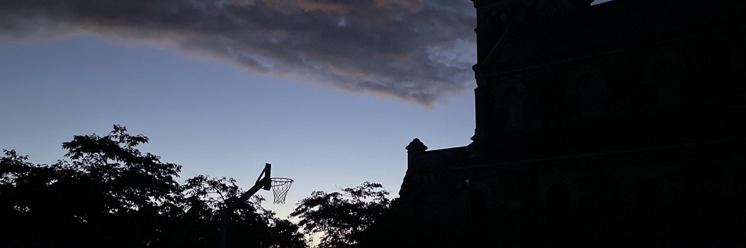 Aurelineee's profile banner image