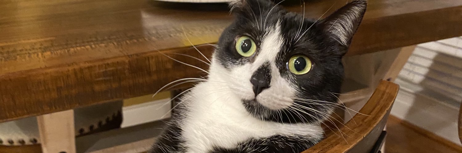 Amanda Alderman banner