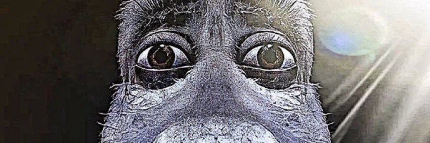Amreeezyy's profile banner image