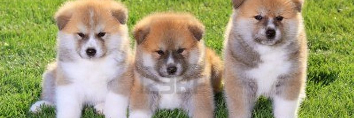 BenjaminHei's profile banner image