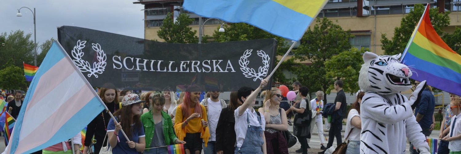 schillerska's profile banner image