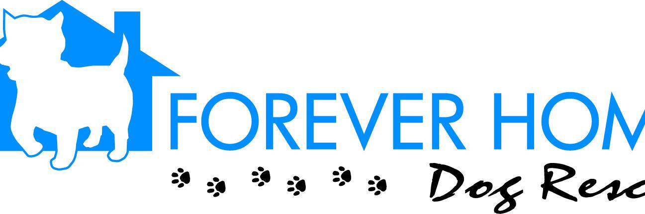 ForeverHomeDogs's profile banner image