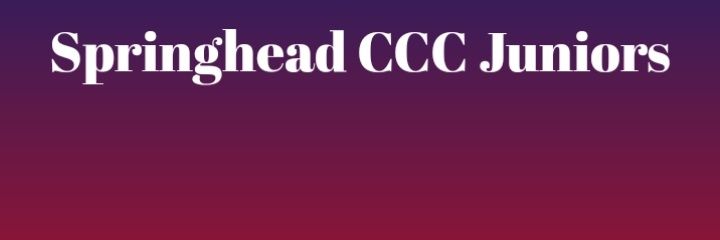 Springhead CCC Junior Cricket banner