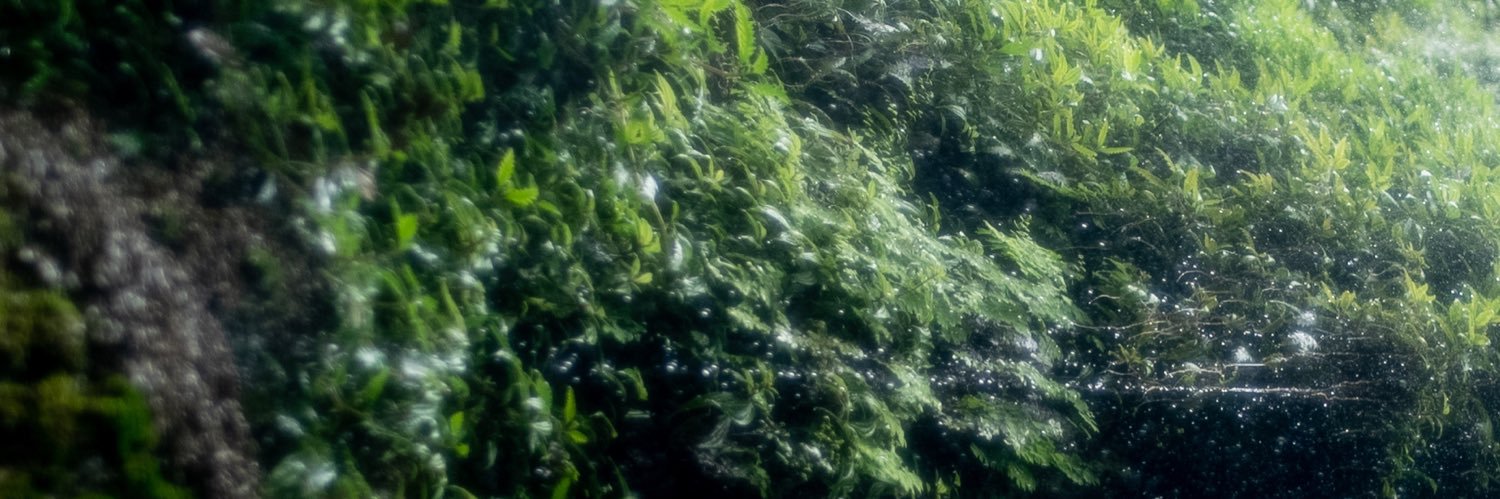 JorgeMora_'s profile banner image