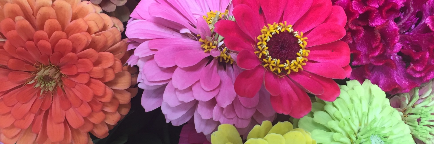 Laura Stock banner