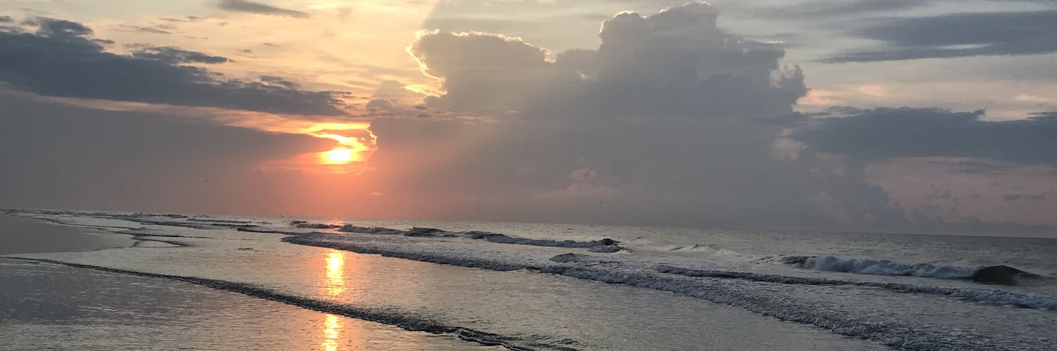 cesardelli_'s profile banner image