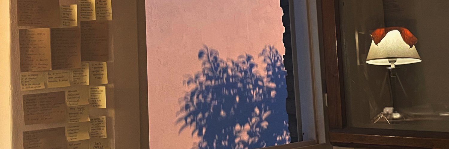 SofiiLanza's profile banner image