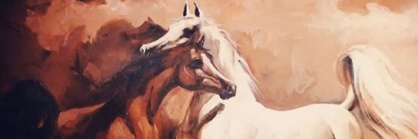 _AishaHamad's profile banner image