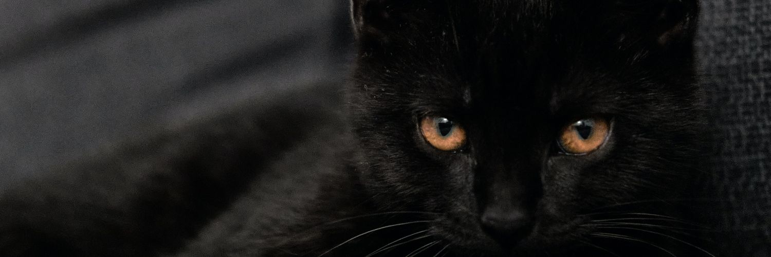 netizenBajah's profile banner image
