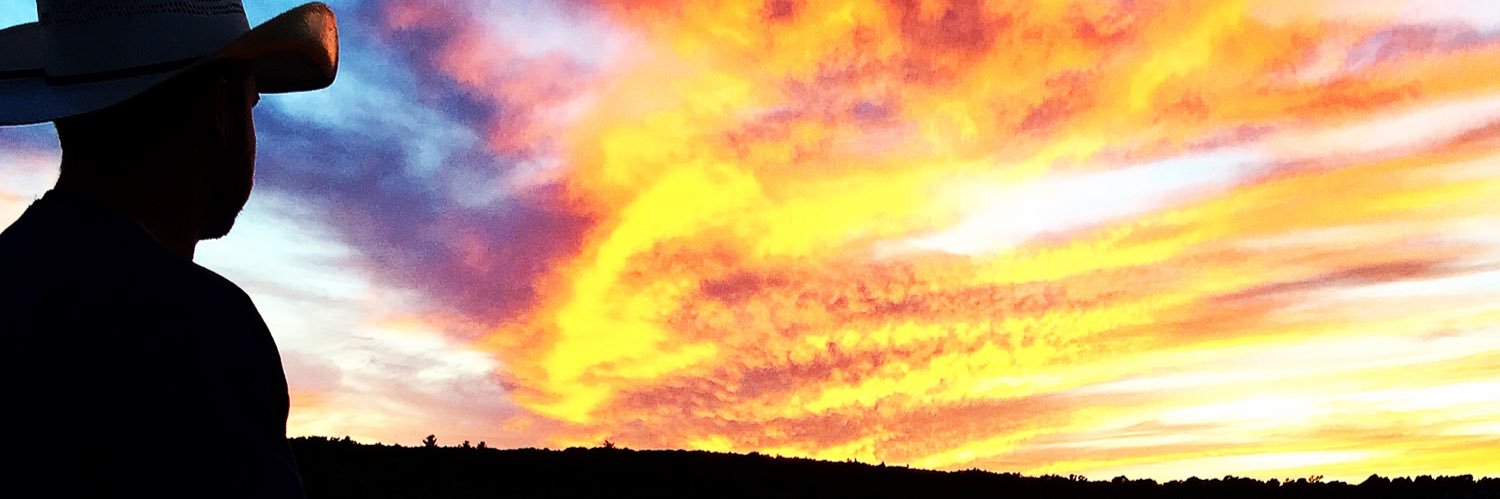 PequignotJR's profile banner image