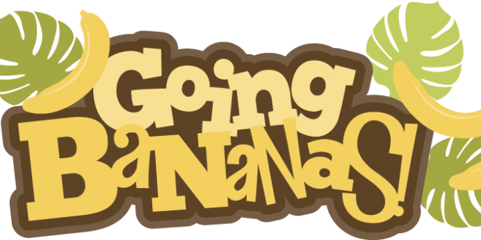 Going_Bananas_'s profile banner image