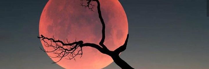 ayunuralfiah18's profile banner image