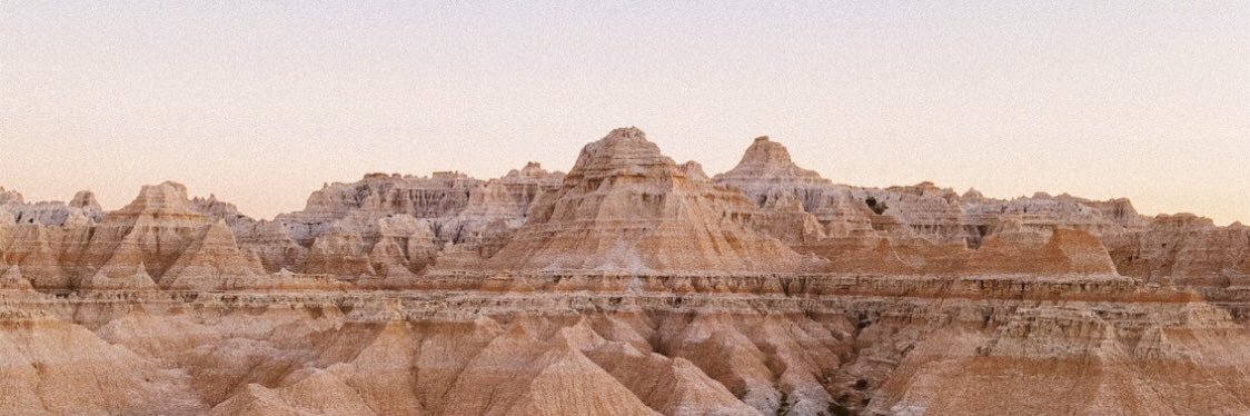 kylie banner