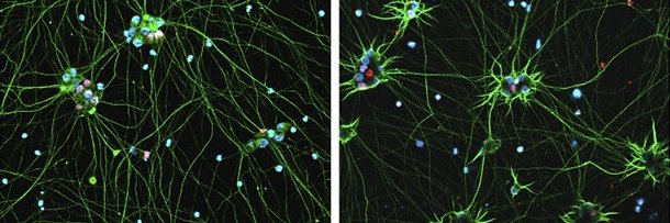 Henna Tyynismaa banner