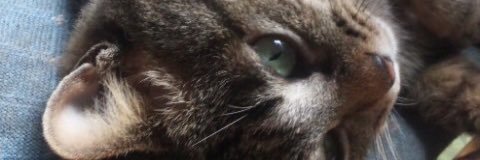hixraid's profile banner image