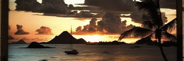 wilikoki808 Profile Banner