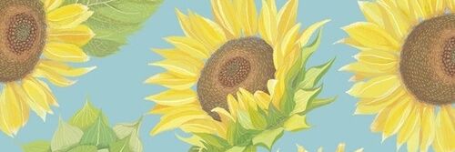 zrdadwi's profile banner image