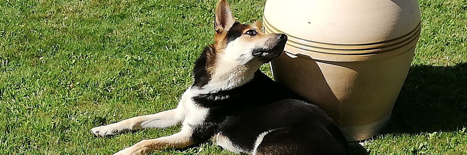 culettocaldo's profile banner image