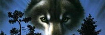 PatMurphy1972's profile banner image
