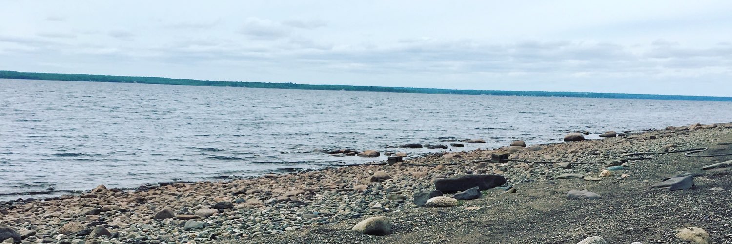 caitmaston's profile banner image