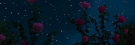 phantasm_r's profile banner image