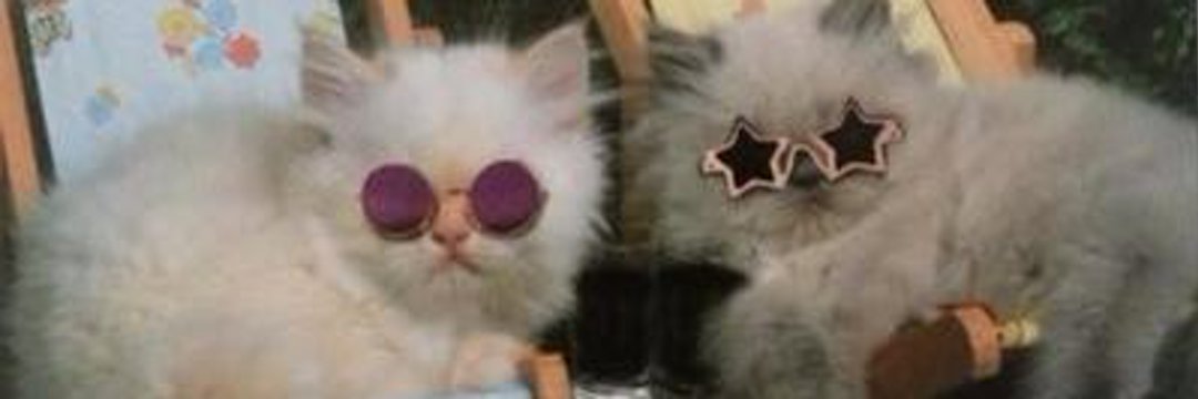 taisnu_'s profile banner image