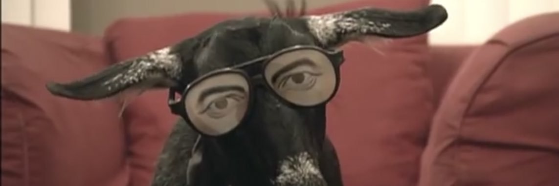 __purplebrain__'s profile banner image
