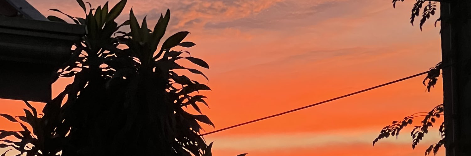 47AppleJoyRS's profile banner image