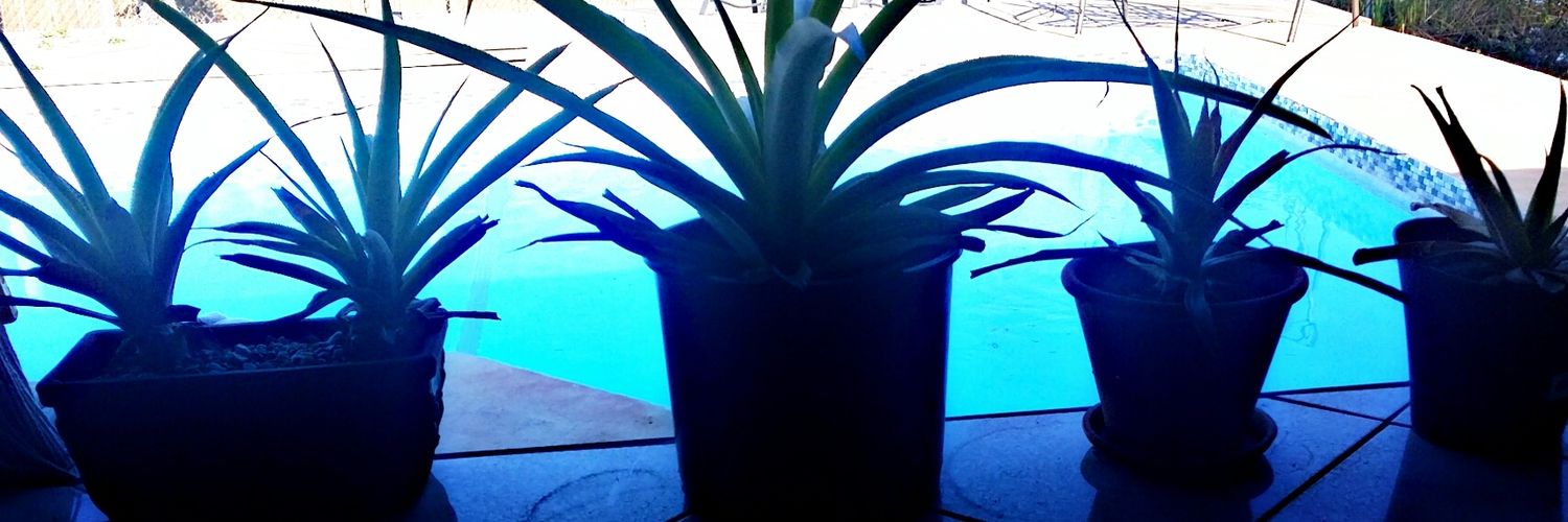 Jamie__Stalker's profile banner image