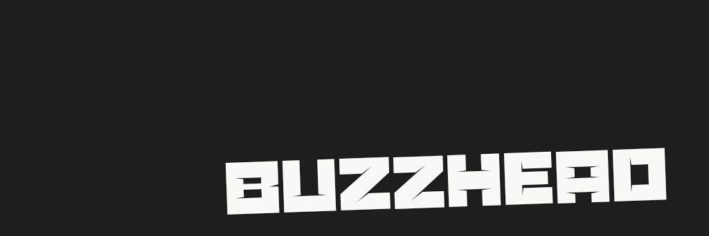 buzzhead_'s profile banner image