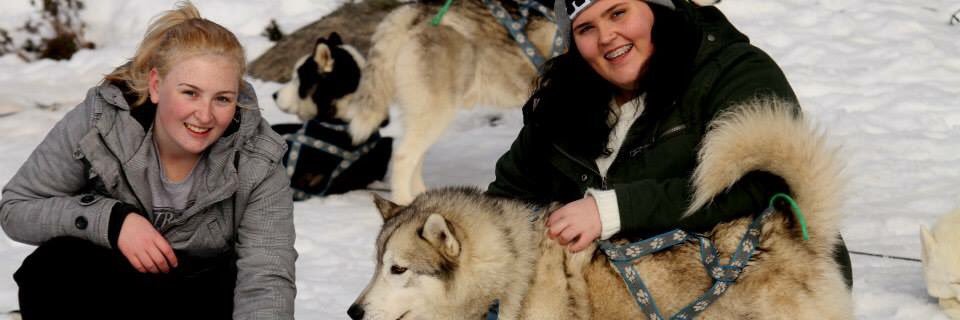 madi93's profile banner image