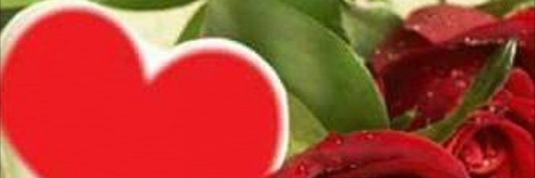 faiqa2020f's profile banner image