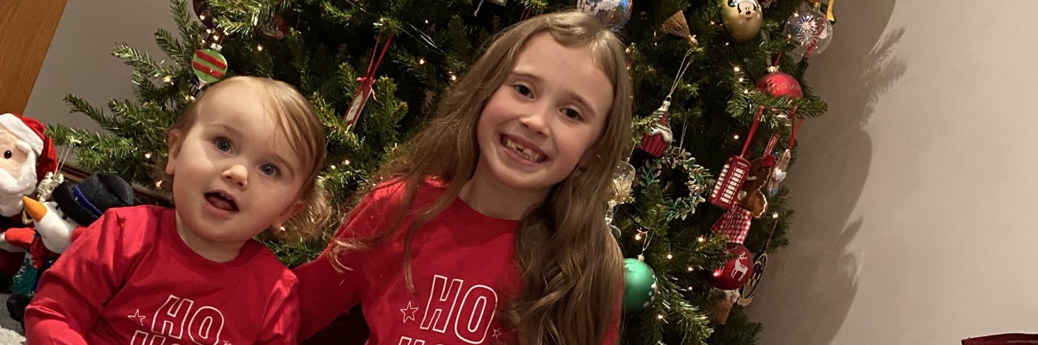 David McCullough banner