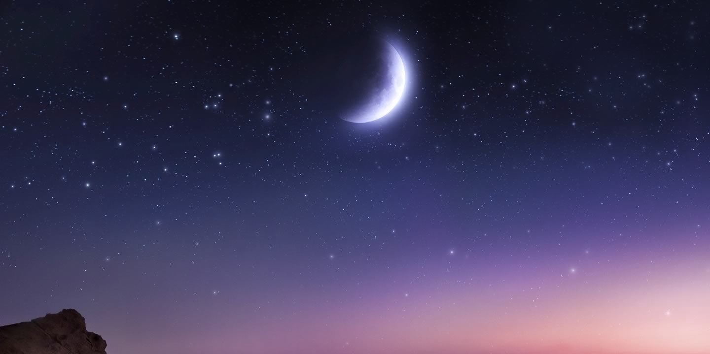 MeDeadYou's profile banner image