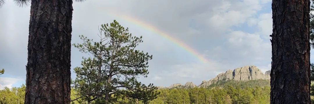 pizzasqurl2's profile banner image