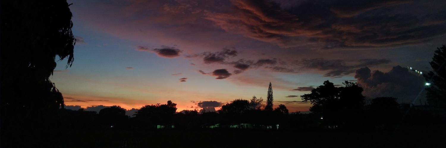 prilandika's profile banner image