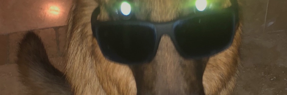 douglasbroughto's profile banner image