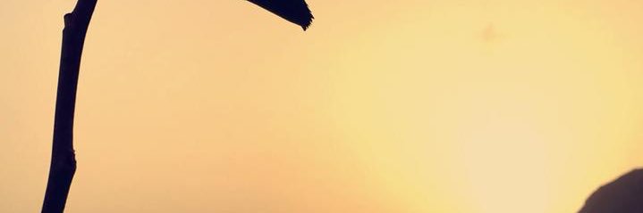 ◇Ohood◆‏ banner