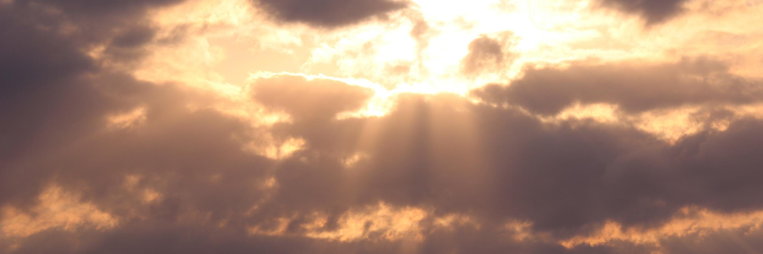 みやぎ banner