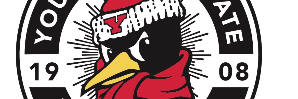 YoungstownPenguins banner