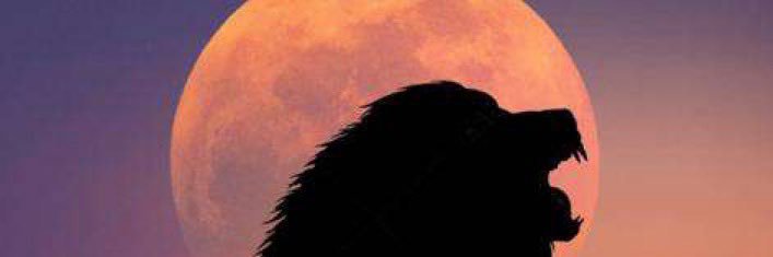 v_1_j's profile banner image