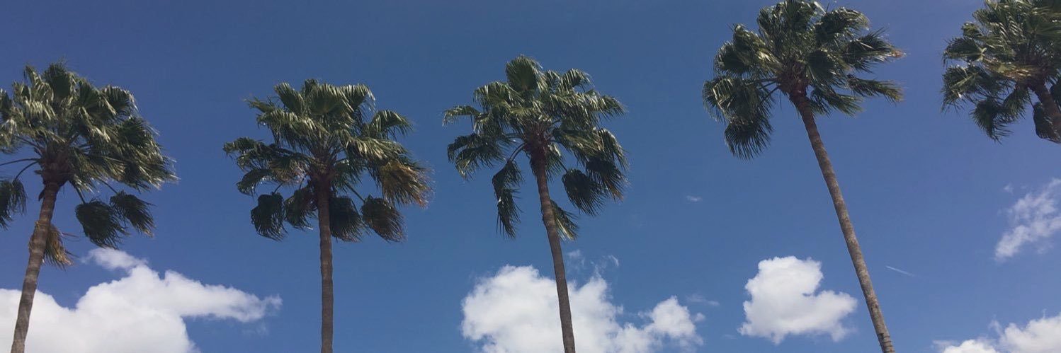 G0Marco's profile banner image